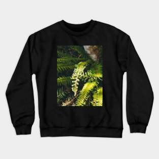 The Caress Crewneck Sweatshirt